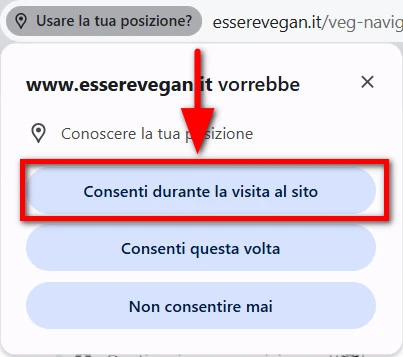Finestra di consenso per autorizzare la geolocalizzazione