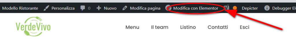 Modifica con Elementor sul sito Veg Navigator