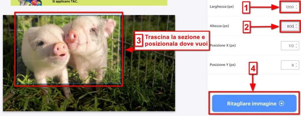 Come ritagliare un'immagine online