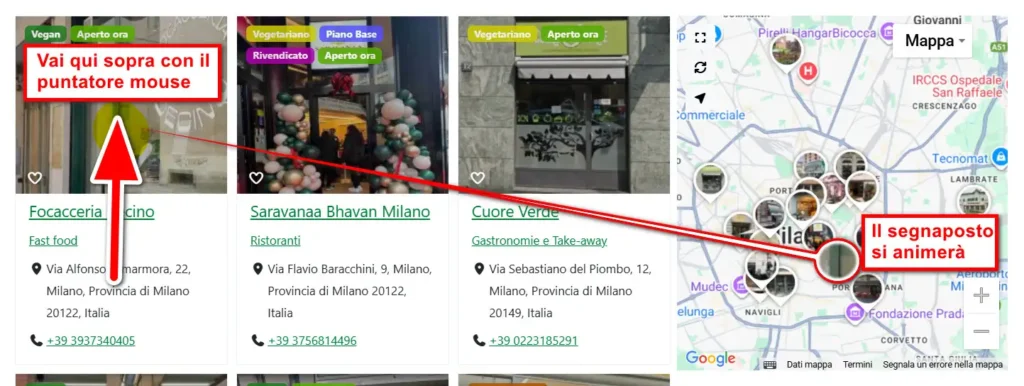 Segnaposto animato nella ricerca sulla piattaforma Veg Navigator